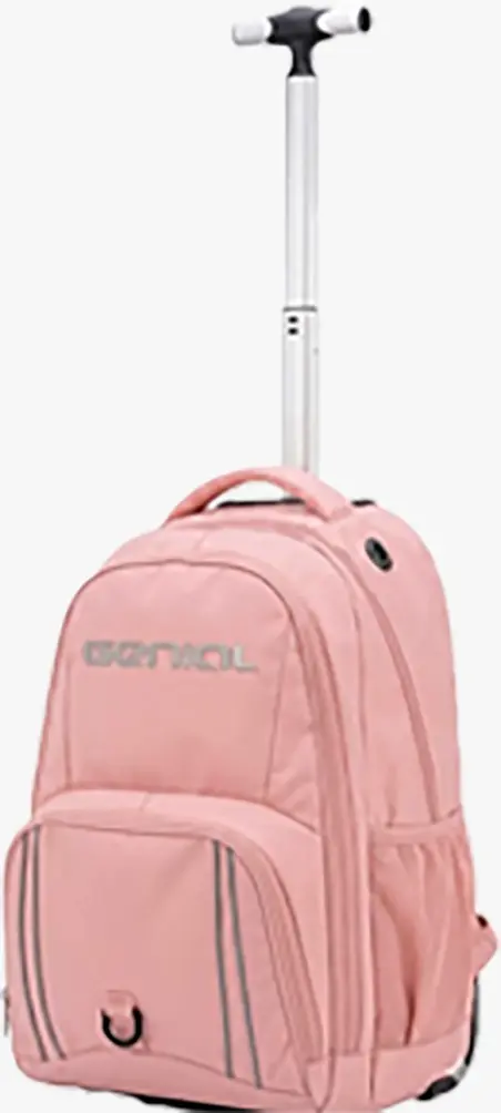 Trolley rosa.webp