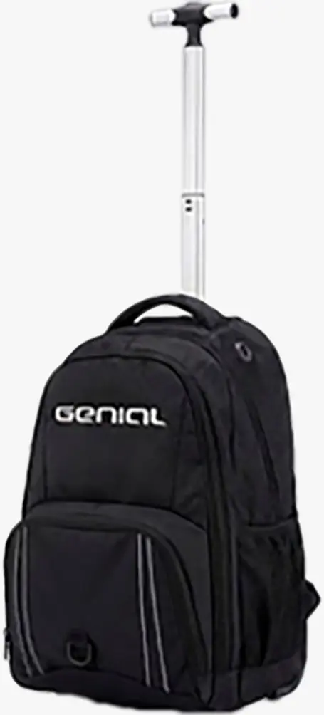 Trolley negre 2.webp